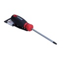 SKRUTKOVAČ TORX SECUR. 30 x 100 mm