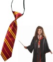 Halloweensky kostým s kravatou Harry Potter Chrabromil
