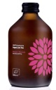 KOMBUCHA S MANGOM A MUČENOU, BEZLEPKOVÁ BIO 330 m