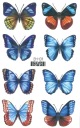 Umývateľné tetovanie pre deti BUTTERFLIES EH011