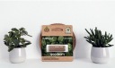 UME3 Eco Friendly 32GB flash disk