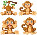 NÁLEPKY NA BIELEJ FÓLII NA NÁSTENNÝ NÁBYTOK MONKETY OPICE MONKENY MONKEYS