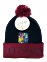 HARRY POTTER HOGWARTS KLOBÚK S CESTOM