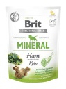 BRIT DOG FUNCTIONAL SNACK MINERÁLNA ŠUNKA PUPPY 150G
