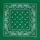 Bandana bandana bandana zelená paisley šatka