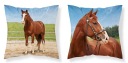 Detská obliečka na vankúš 40x40 koní MF 03 Kids 114