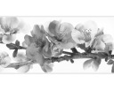 Samolepiaca dekoračná lišta na stenu Border, 25 cm/2 m