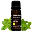 PRÍRODNÝ ÉTERICKÝ OLEJ MÄTA 10 ML AROMATHERAPY ECOSPA