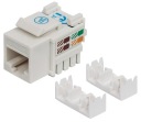 Keyston RJ45 UTP CAT5E modul / biely / Intellinet