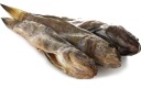Plantain sušený, nevypitvaný, sypaný (cena za 100 g)
