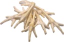 Kuracie nohy Biele kuracie nohy Prirodzene sušené 10 kusov Large Chew