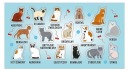 Nálepky s mačkami