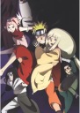 Plagát Anime Manga Naruto nrto_116 A3