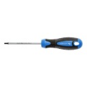 Torx skrutkovač T25x100 mm HT1S056 Hogert