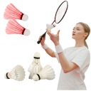 BADMINTON BABINGTON SHUTTLETS SET HERNÝ PIEROVÝ SET