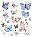 Odnímateľné tetovanie pre deti BUTTERFLIES RH016
