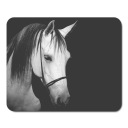 PODLOŽKA NA MYŠ HORSE HORSES