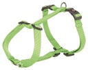 Prémiový postroj, XS–S: 30–44 cm/10 mm, jablko
