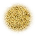 Zlaté ľanové semienka zlatého ľanu GOLDEN LINEN SUPER Q 1kg