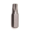Bit bit pre skrutkovač TORX T40 5/16