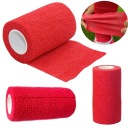BANDÁŽ SAMOLEPIACA ELASTICKÁ ČERVENÁ 10cm