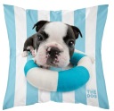 OBLIECKA NA VANKÚŠ 40x40 PSI PSI BULLDOG