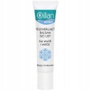 OILLAN WINTER regeneračný balzam na pery 15 ml