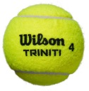 WILSON TRINITI CLUB All Court TENISOVÁ LOPTA 1 ks