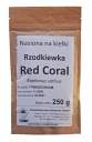 Semená reďkovky Red Coral na klíčky 250g TORAF
