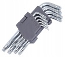 W2P19 SADA KĽÚČOV HEX STAR TORX 130 mm 9 s