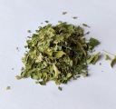 Moringa moringa list Oleifera - 50g - Dary Podlasie