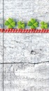 Zápisník A6, linajkový zápisník, farebné zápisníky, Lucky clovers, mäkká fólia