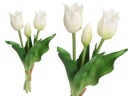 TULIPANY TULIPSKY KYTICE GUMA POTAŽENÁ GUMA AKO ŽIVÁ