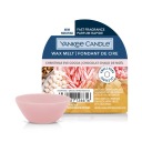 Vosk štedrovečerný kakaový sviečka Yankee Candle