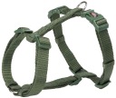 Prémiový postroj, XS–S: 30–44 cm/10 mm, les