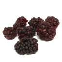 MRAZOM SUŠENÁ BLACKBERRY 40g