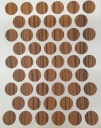Čiapka samolepiaca 14mm zebrano číre 50 ks