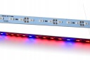 Pevný LED pás 5730 4,8W 12V ZÁVOD 4:1 hliník 0,5m