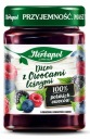 HERBAPOL Džem s lesným ovocím 280g