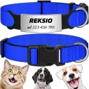 SILNÝ NASTAVITEĽNÝ OBLIEK PRE PSA INDEX MAČKA PES + GRAVÍR 40-60cm XL