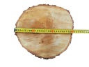 BREZA plátkové drevené kotúče TOP stolík 30 cm