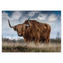 Samolepky A5 LEVEL Highland cow