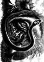 Anime Manga Berserk Plagát b_016 A3