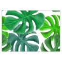 Samolepky A5 LEVEL Monstera Leaves Tropics