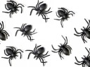 SPIDER HALLOWEEN SPIDERS 10 ks Bal