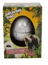 VAJEC LIAHNE DINOSAUR Pestovanie
