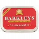 Barkleys škoricové cukríky bez cukru, dražé z USA 15g