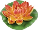Greenmill Pomarančový kvet lekna 19cm GR7239