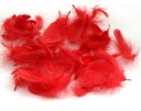 Obsessive Red Feathers Univerzálna červená
