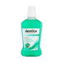 dentica Mint Fresh Tekutý prípravok na ústnu hygienu 500